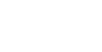 Mindswitch
